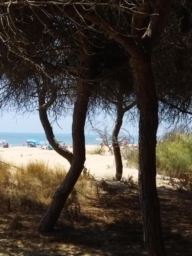 Sol Y Mar Villa Isla Cristina Eksteriør billede